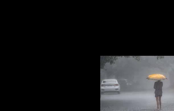 रायपुर : छत्तीसगढ़ में अब तक आज 229.7 मि.मी. औसत वर्षा हुई दर्ज